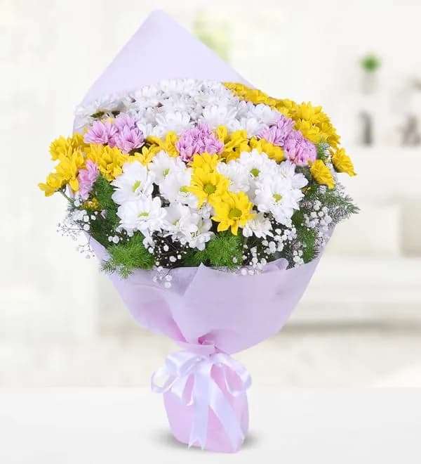 Daisy Dream – Masal – Masal's Flower Garden