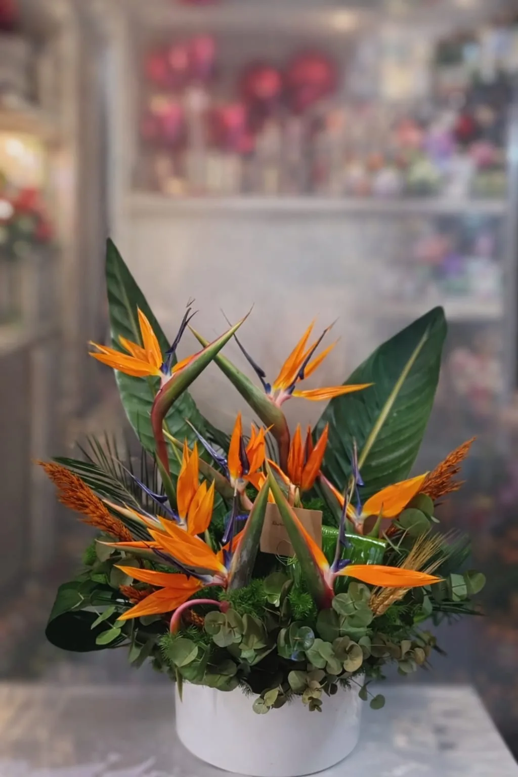 Cennet Kuşu Premium Aranjman – Masal's Flower Garden
